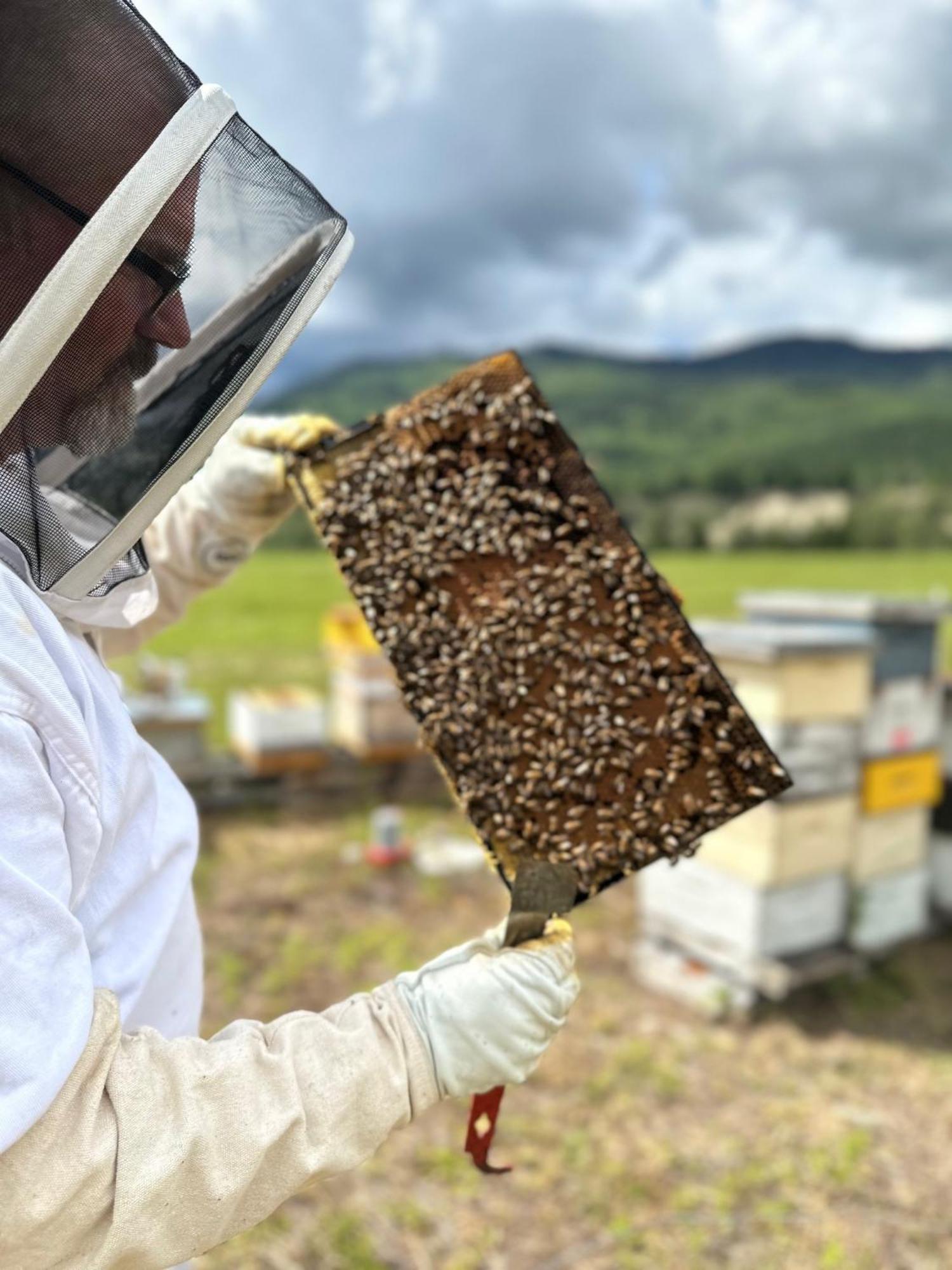 Bluestone Acres Farm 호텔 Vavenby 외부 사진